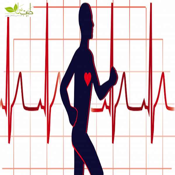 پیاده روی یکی از راه های تقویت قلب و عروق